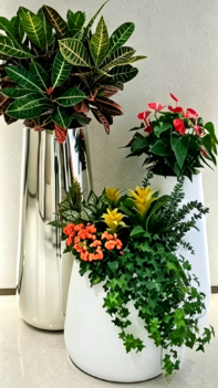 江北花卉租赁展示五大方法，简单有效